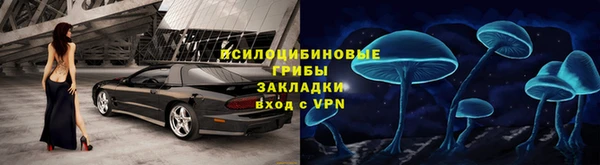 дурь Богородицк