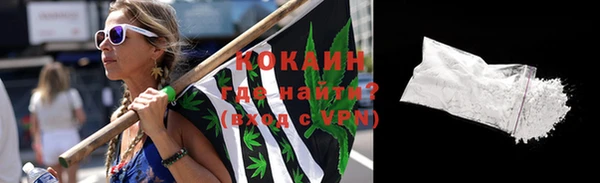 дурь Богородицк
