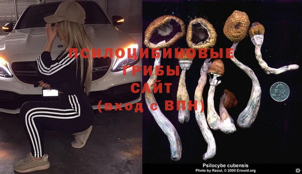 дурь Богородицк