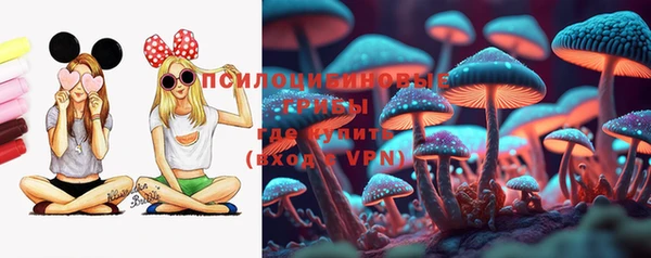 дурь Богородицк